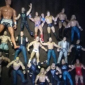 Wrestling Action Figures *collectible*